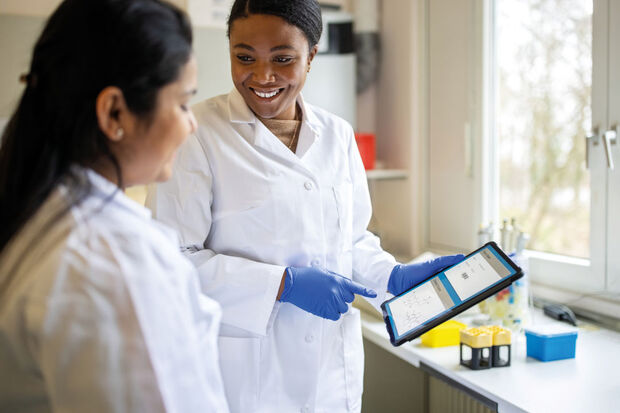 Miód P14